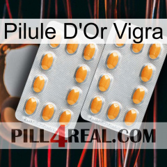 Vigra Gold Pill cialis4